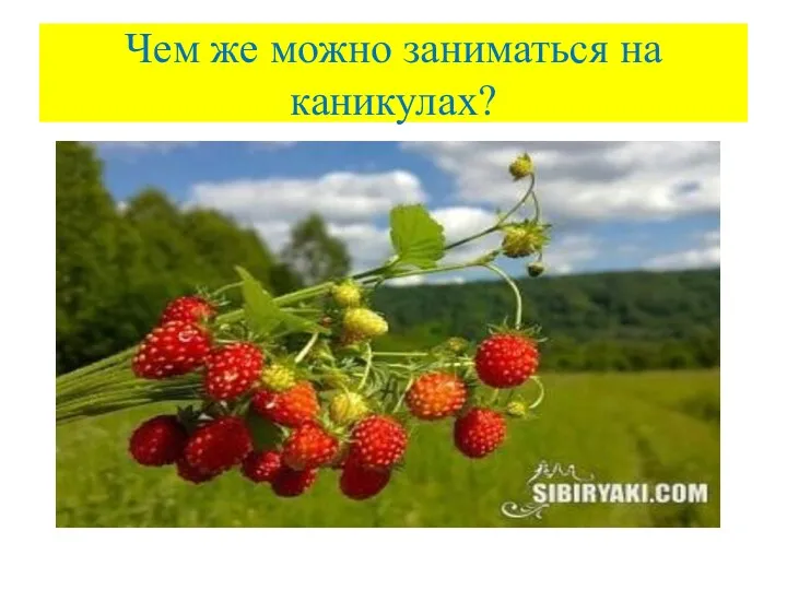 Чем же можно заниматься на каникулах?