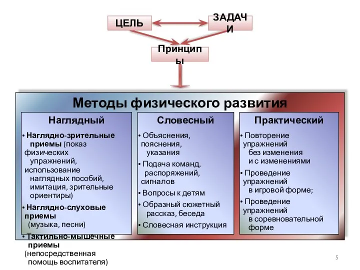 ЦЕЛЬ ЗАДАЧИ Принципы