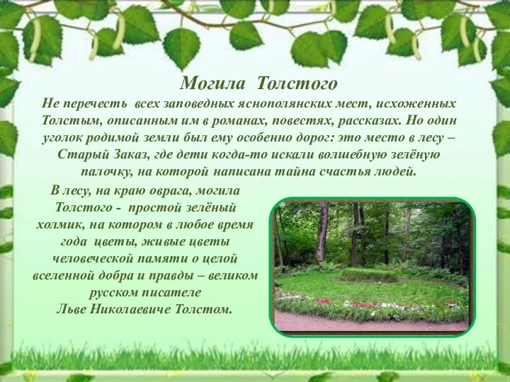 Могила Толстого Не перечесть всех заповедных яснополянских мест, исхоженных Толстым,