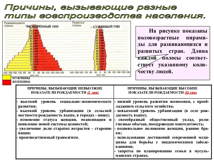 Причины, вызывающие разные типы вовспроизводства населения. На рисунке показаны половозрастные пирами-ды для развивающихся