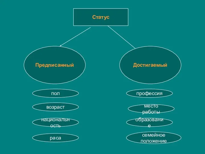 Статус Предписанный Достигаемый пол возраст национальность раса образование место работы профессия семейное положение
