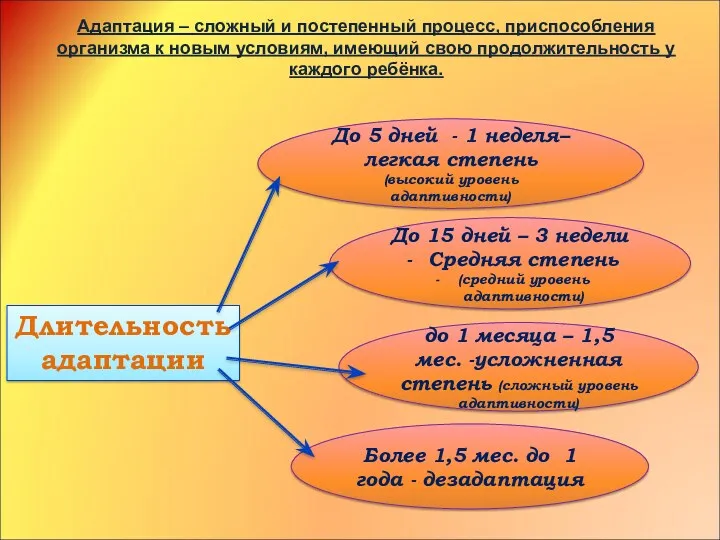 Адаптация – сложный и постепенный процесс, приспособления организма к новым