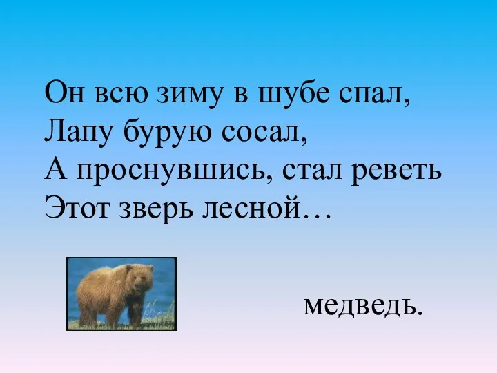 Он всю зиму в шубе спал, Лапу бурую сосал, А