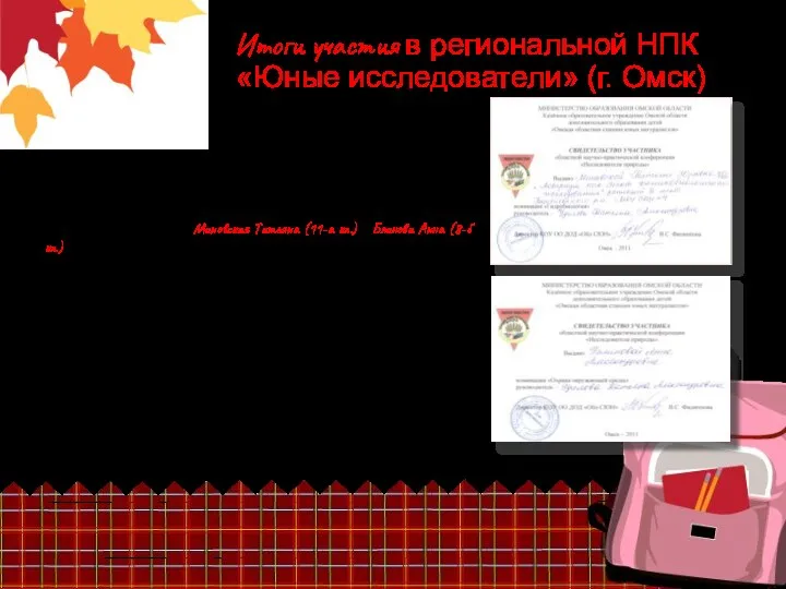 Итоги участия в региональной НПК «Юные исследователи» (г. Омск) 25