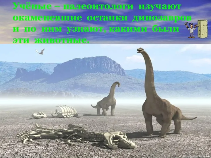 Учёные – палеонтологи изучают окаменевшие останки динозавров и по ним узнают, какими были эти животные.
