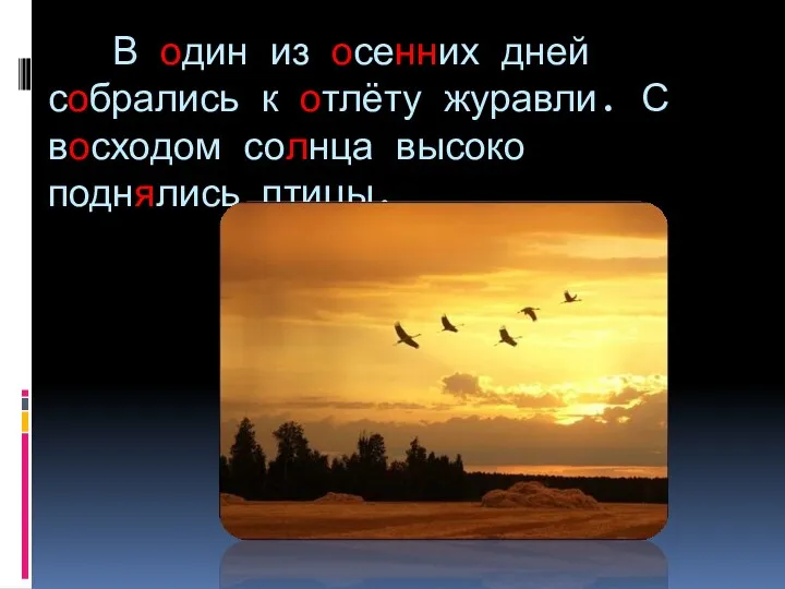 В один из осенних дней собрались к отлёту журавли. С восходом солнца высоко поднялись птицы.