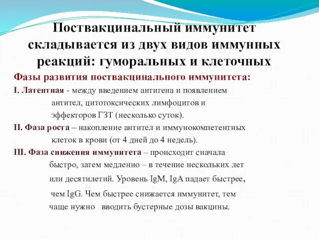 Поствакцинальный иммунитет складывается из двух видов иммунных реакций: гуморальных и клеточных Фазы развития