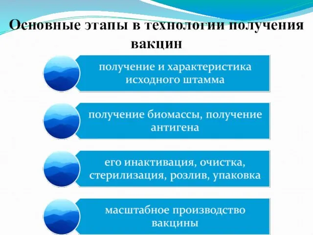 Основные этапы в технологии получения вакцин