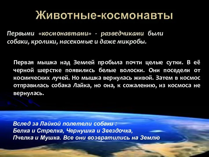 Первыми «космонавтами» - разведчиками были собаки, кролики, насекомые и даже