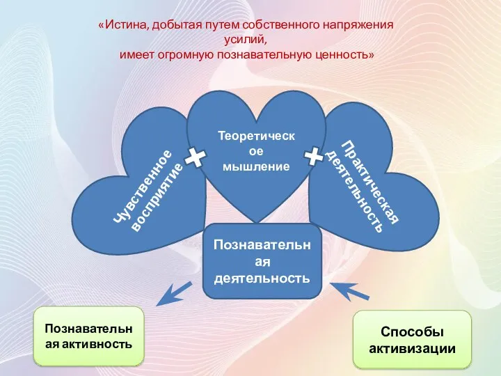 Чувственное восприятие Практическая деятельность Теоретическое мышление Познавательная деятельность Познавательная активность