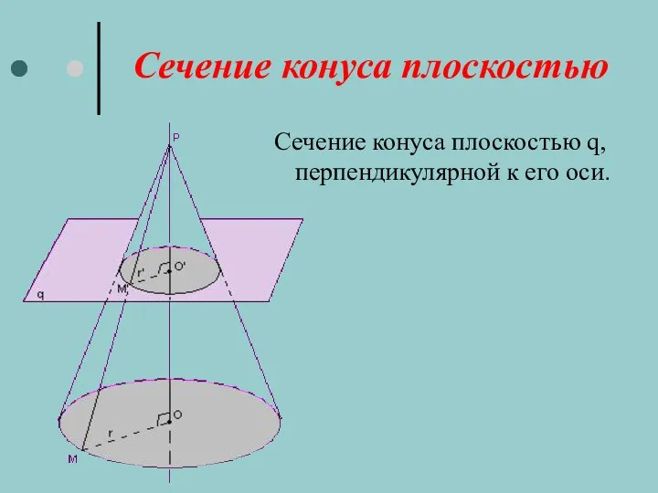 Сечение конуса плоскостью Сечение конуса плоскостью q, перпендикулярной к его оси.