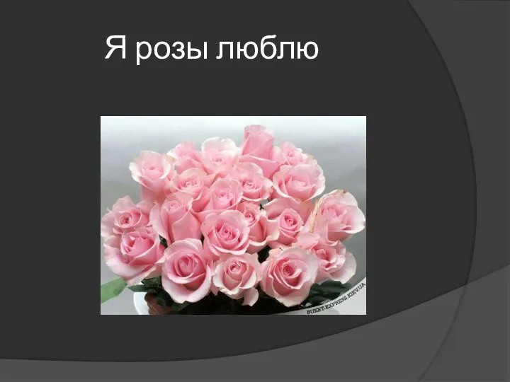Я розы люблю