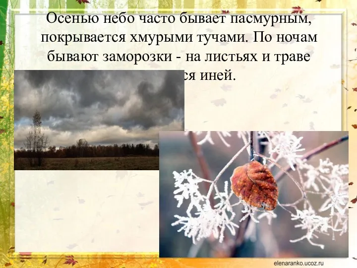 Осенью небо часто бывает пасмурным, покрывается хмурыми тучами. По ночам бывают заморозки -