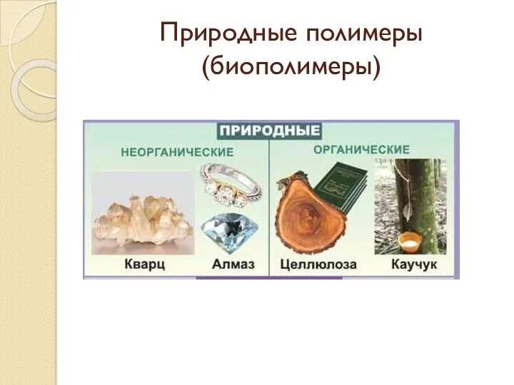 Природные полимеры (биополимеры)