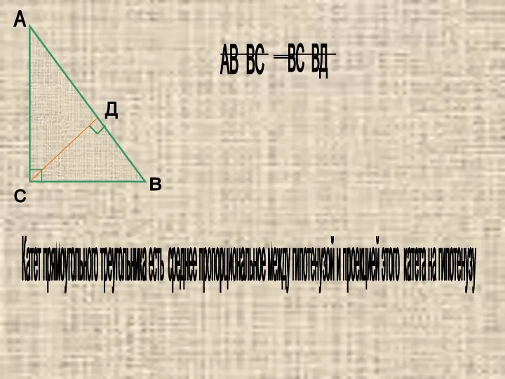 А В С Д Катет прямоугольного треугольника есть среднее пропорциональное