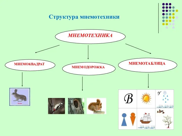 Структура мнемотехники МНЕМОТЕХНИКА МНЕМОКВАДРАТ МНЕМОДОРОЖКА МНЕМОТАБЛИЦА