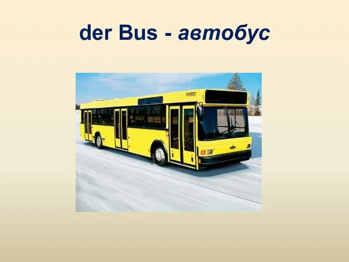 der Bus - автобус