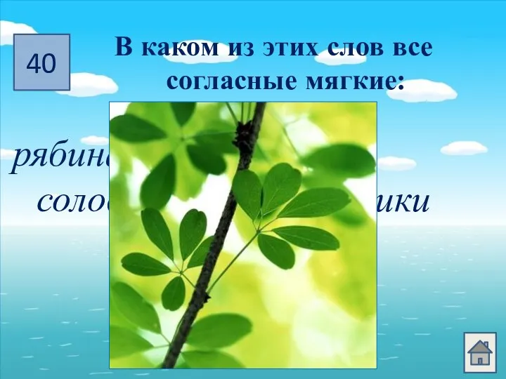 40 В каком из этих слов все согласные мягкие: рябина тишь соловей листики