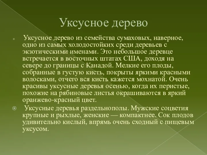 Уксусное дерево Уксусное дерево из семейства сумаховых, наверное, одно из