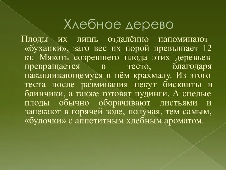 Хлебное дерево Плоды их лишь отдалённо напоминают «буханки», зато вес