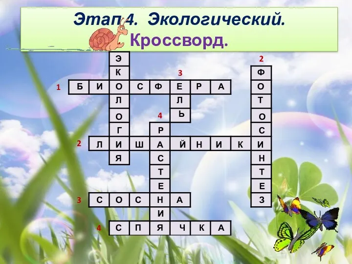 Этап 4. Экологический. Кроссворд. Б И О С Ф Е