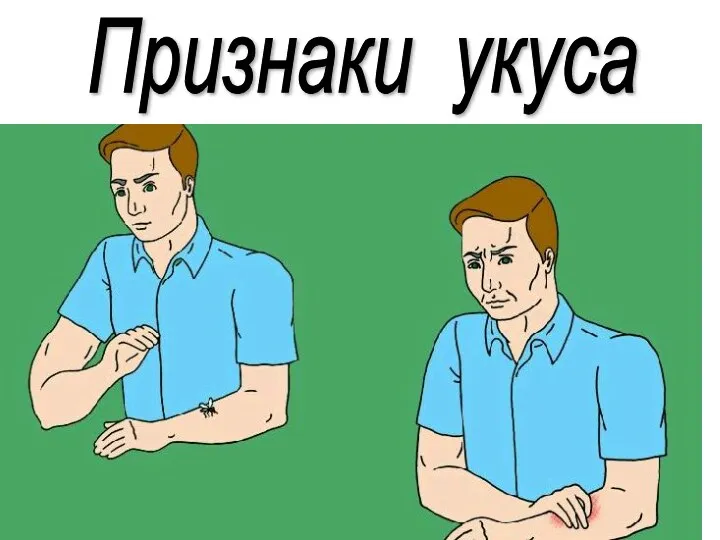 Признаки укуса