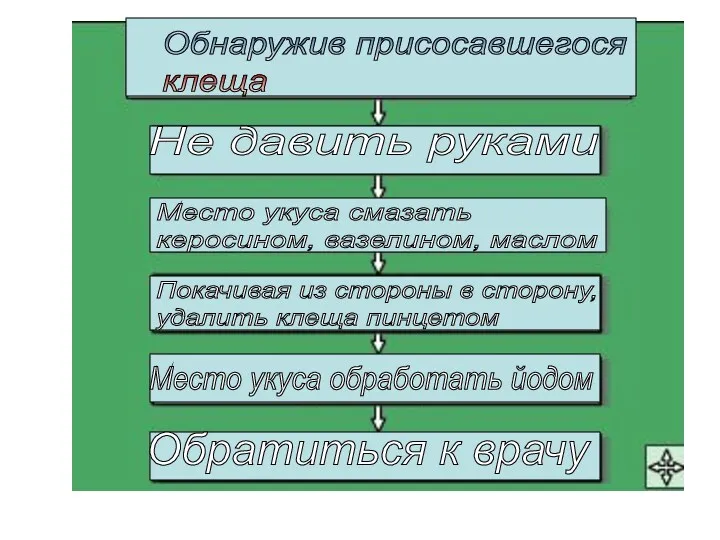 Обнаружив присосавшегося клеща Не давить руками Место укуса смазать керосином,