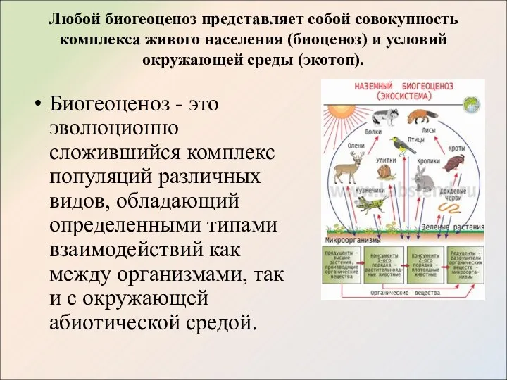 Любой биогеоценоз представляет собой совокупность комплекса живого населения (биоценоз) и