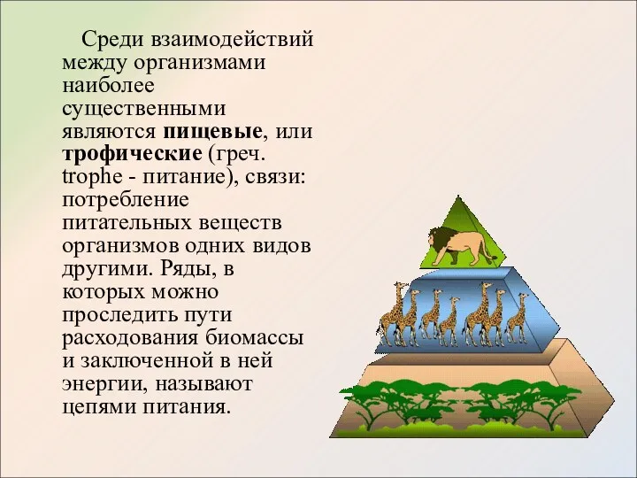 Среди взаимодействий между организмами наиболее существенными являются пищевые, или трофические