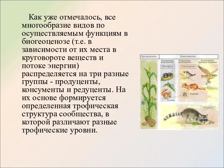 Как уже отмечалось, все многообразие видов по осуществляемым функциям в