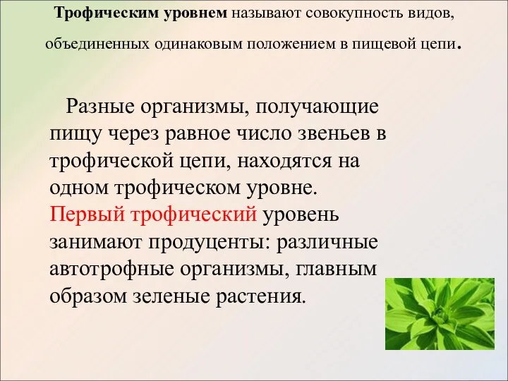 Трофическим уровнем называют совокупность видов, объединенных одинаковым положением в пищевой