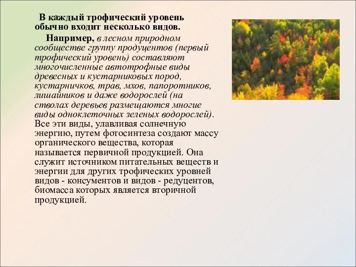 В каждый трофический уровень обычно входит несколько видов. Например, в