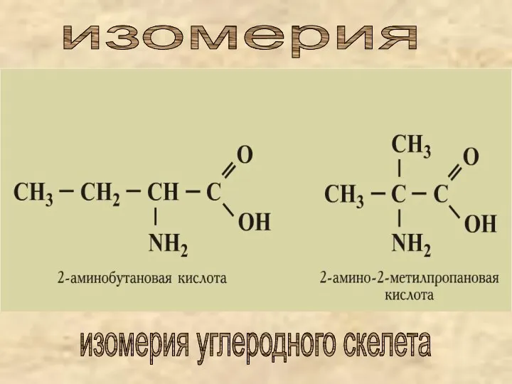 изомерия углеродного скелета изомерия