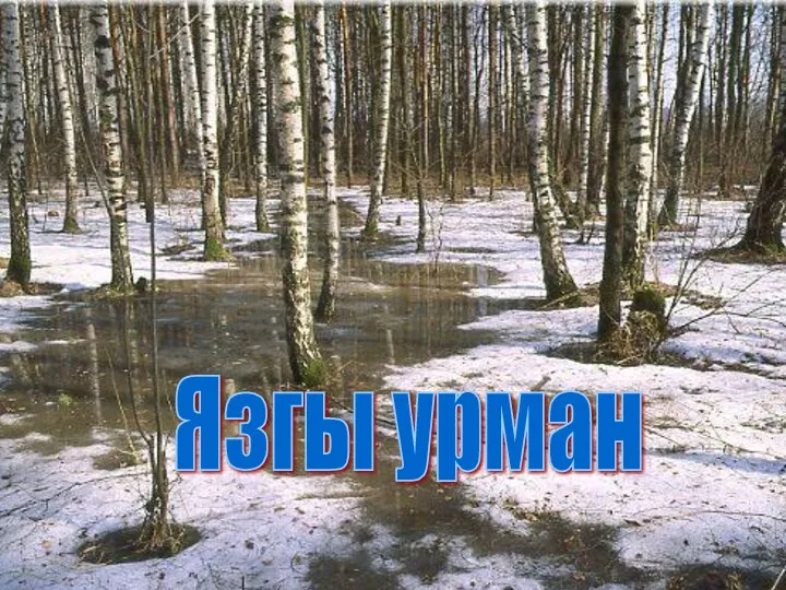 Язгы урман