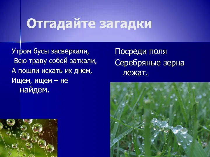 Отгадайте загадки Утром бусы засверкали, Всю траву собой заткали, А пошли искать их