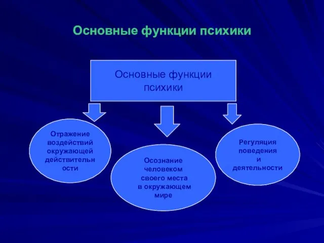 Основные функции психики Основные функции психики Отражение воздействий окружающей действительности