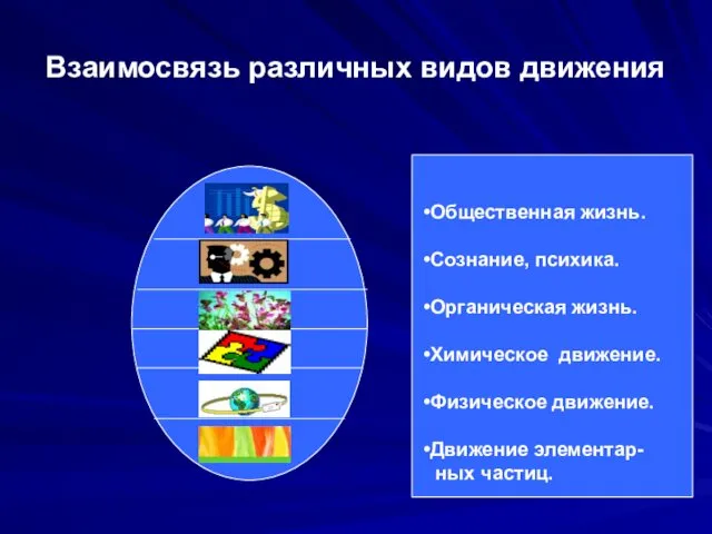 Взаимосвязь различных видов движения Общественная жизнь. Сознание, психика. Органическая жизнь.