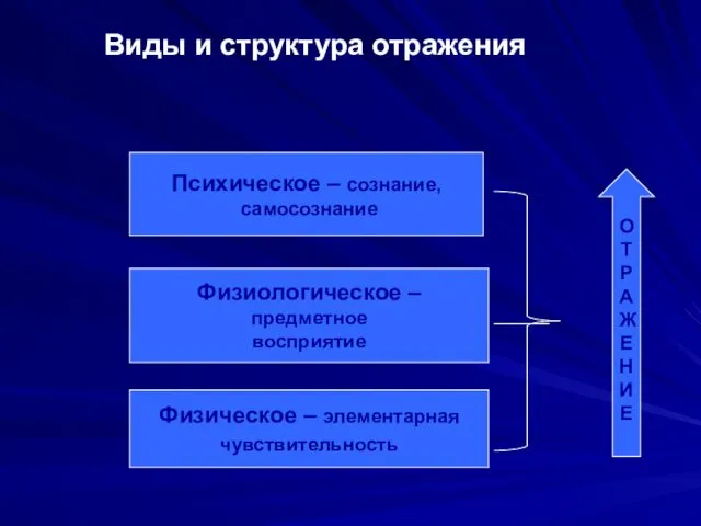 Виды и структура отражения О Т Р А Ж Е