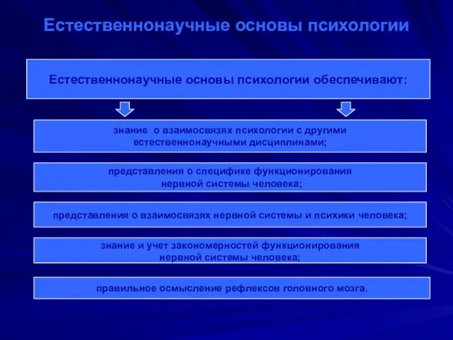 Естественнонаучные основы психологии Естесвенно-научные основы обеспечивают Естественнонаучные основы психологии обеспечивают: