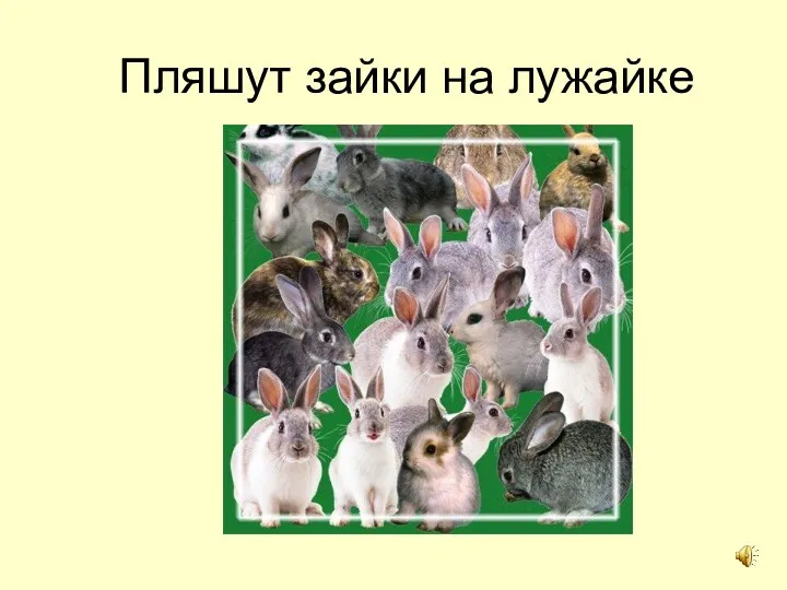 Пляшут зайки на лужайке