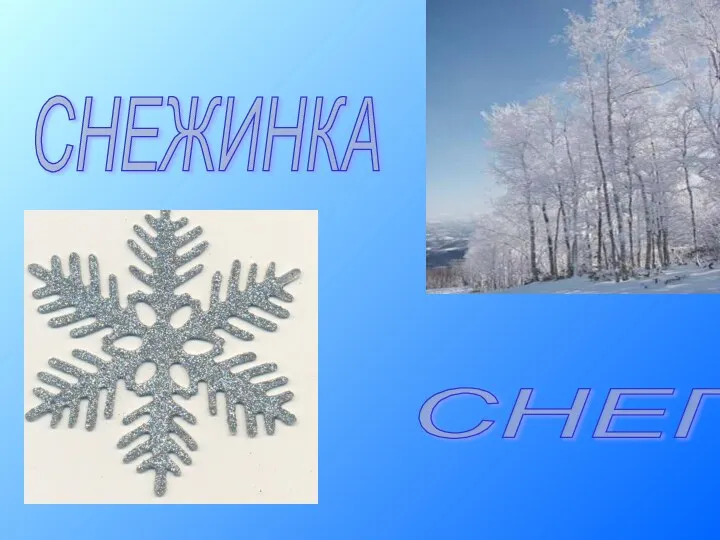 СНЕГ СНЕЖИНКА