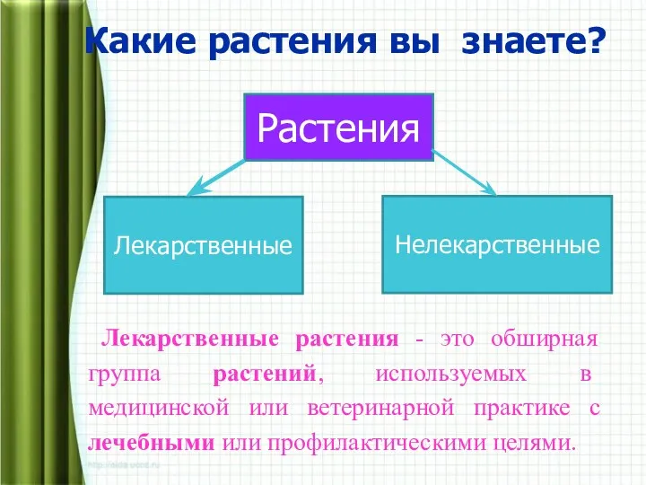 Какие растения вы знаете? Растения Лекарственные Нелекарственные Лекарственные растения - это обширная группа