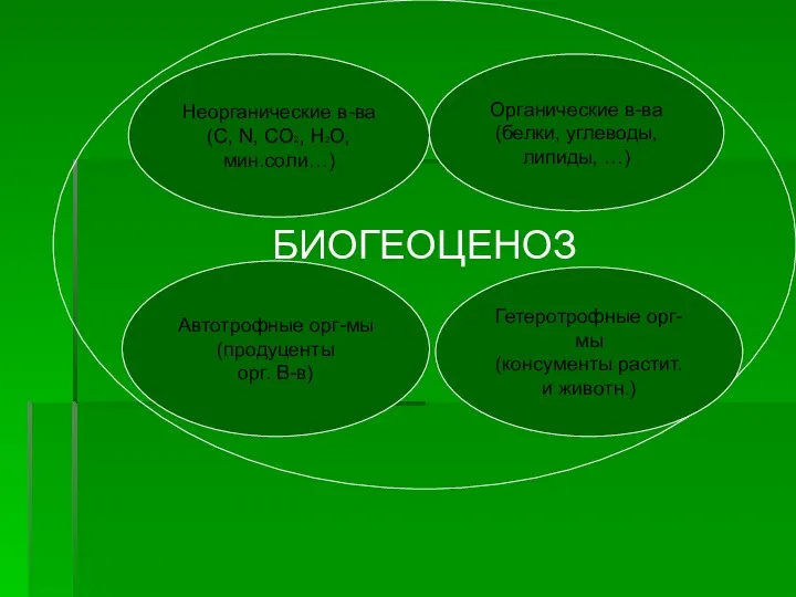 БИОГЕОЦЕНОЗ Органические в-ва (белки, углеводы, липиды, …) Неорганические в-ва (С,