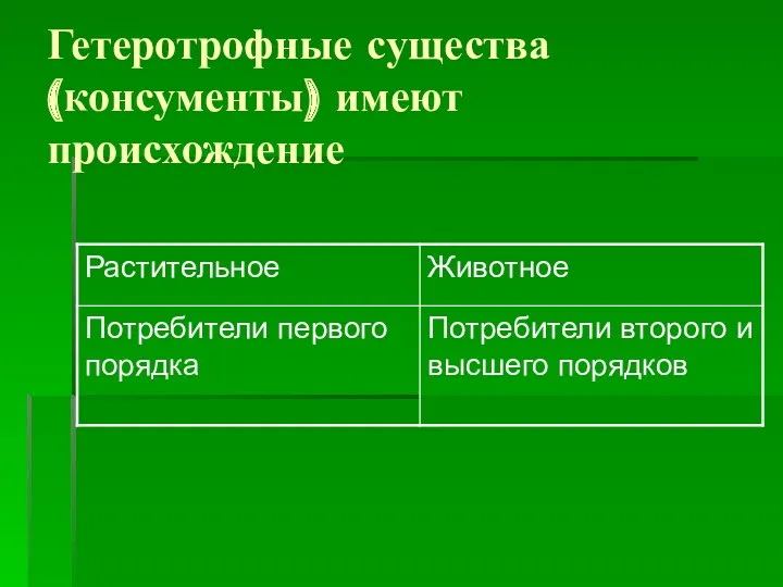 Гетеротрофные существа (консументы) имеют происхождение