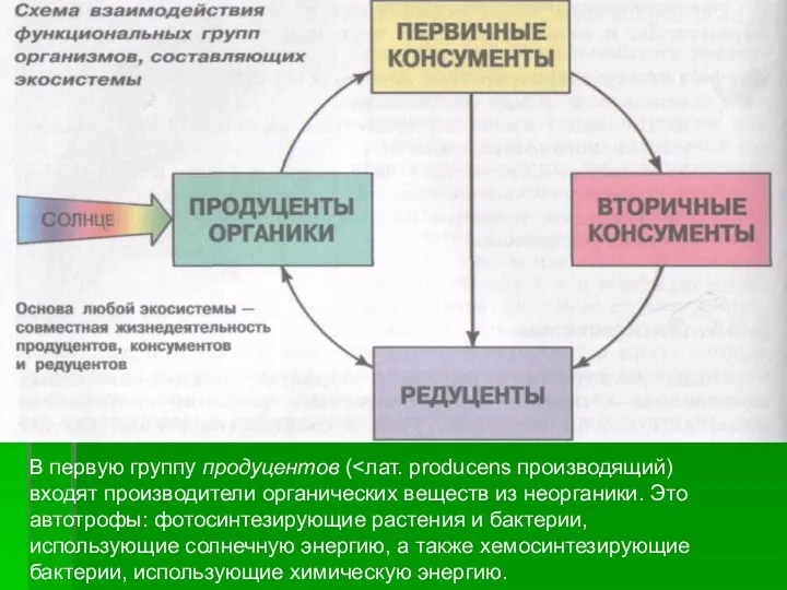 В первую группу продуцентов (