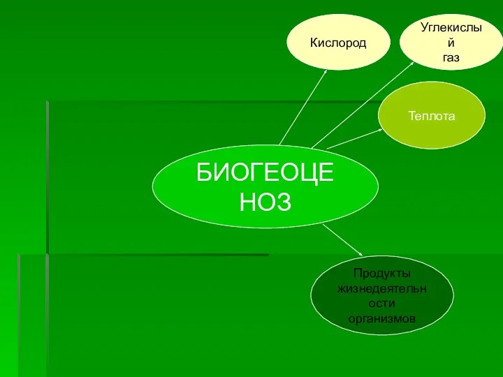 БИОГЕОЦЕНОЗ Теплота Кислород Углекислый газ Продукты жизнедеятельности организмов