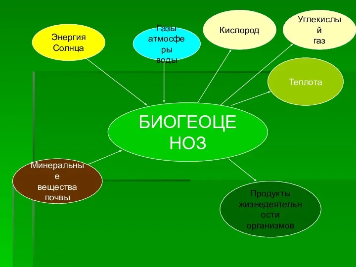 БИОГЕОЦЕНОЗ Энергия Солнца Газы атмосферы воды Минеральные вещества почвы Теплота Кислород Углекислый газ Продукты жизнедеятельности организмов