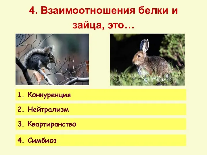 4. Взаимоотношения белки и зайца, это… 1. Конкуренция 2. Нейтрализм 3. Квартиранство 4. Симбиоз