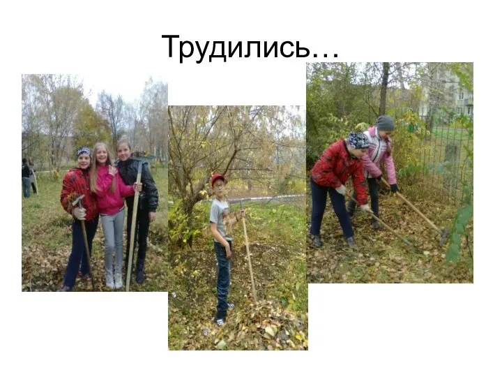 Трудились…