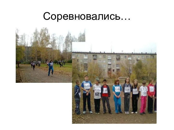 Соревновались…